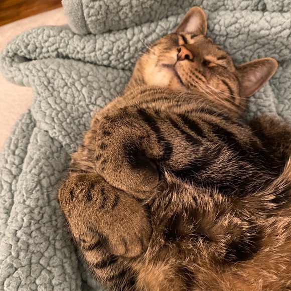 Meet your Posher, Hannah - Picture 1 of 1